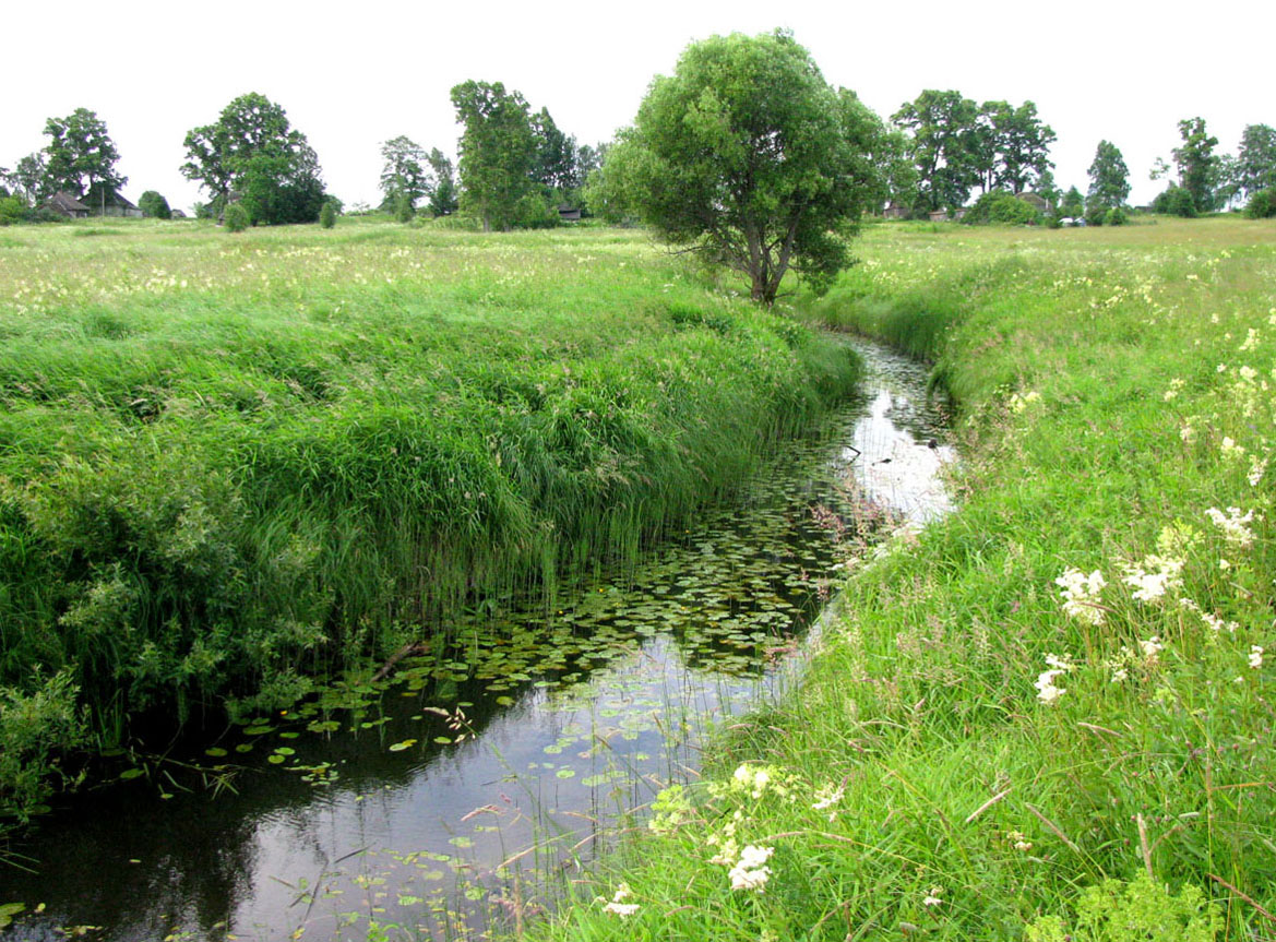 Ильд в среднем течении, image of landscape/habitat.