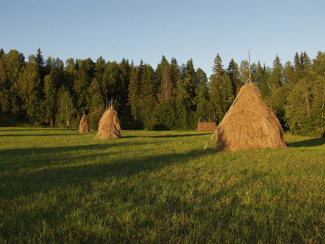 Акичкин Починок, image of landscape/habitat.