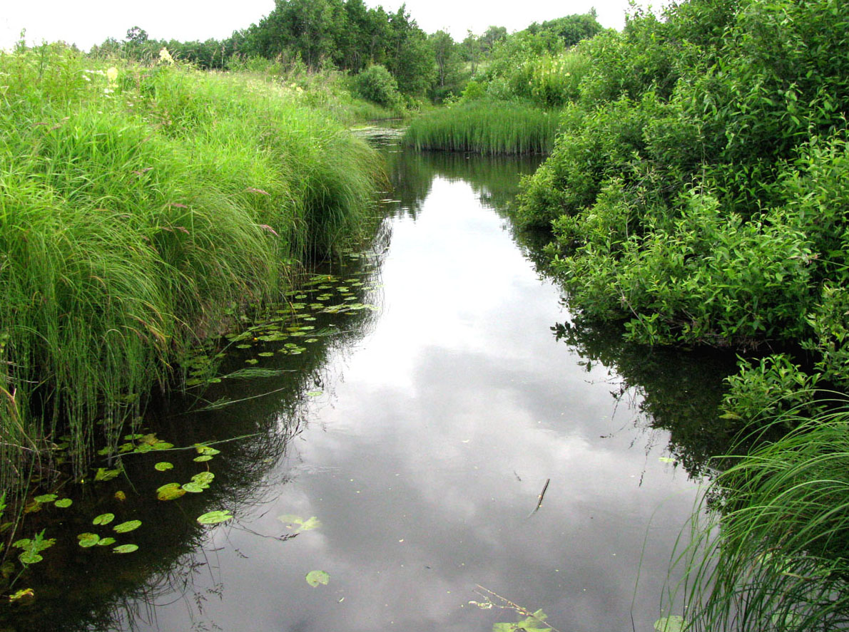 Ильд в среднем течении, image of landscape/habitat.