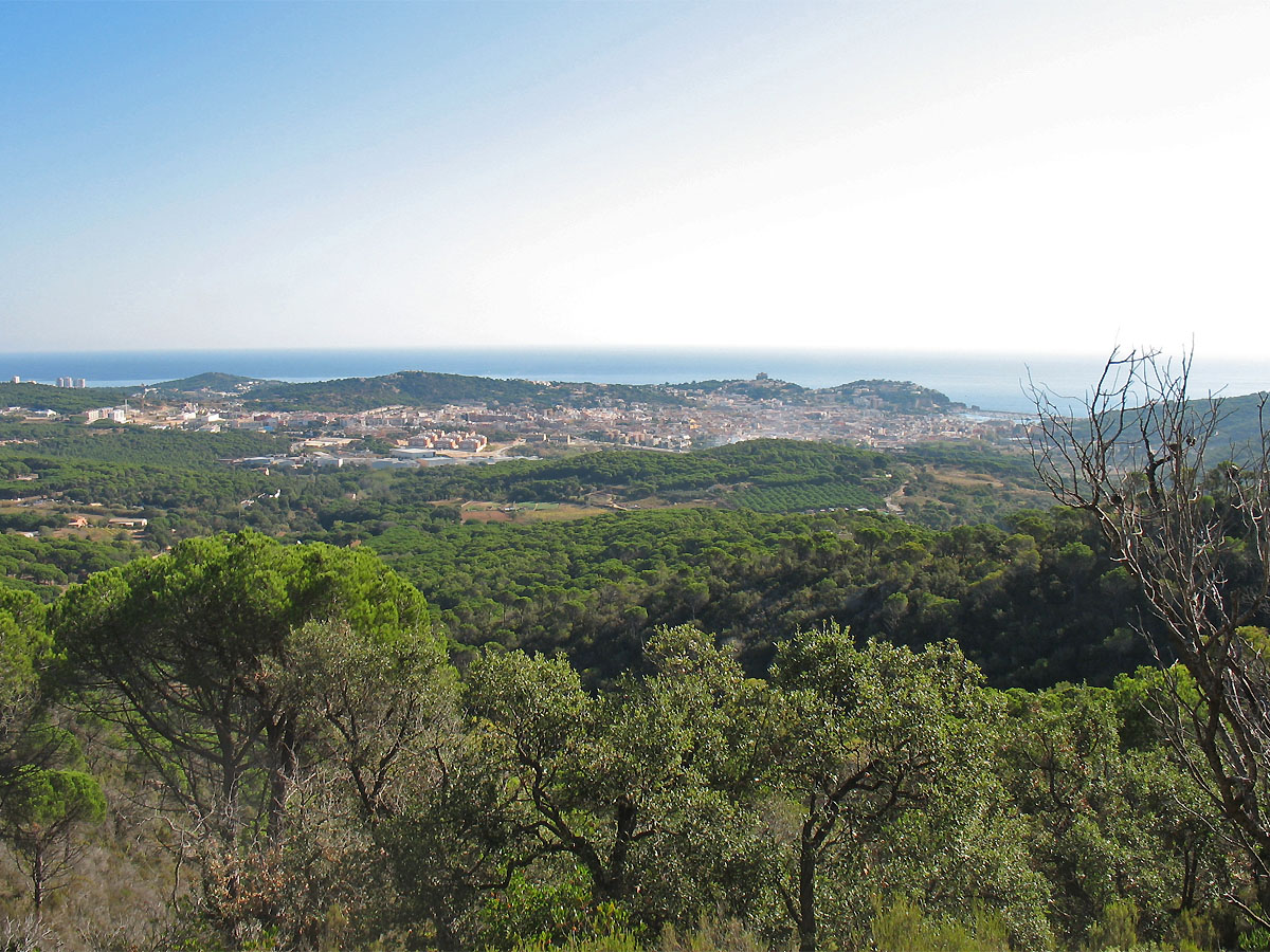 Sant Feliu de Guixols, image of landscape/habitat.