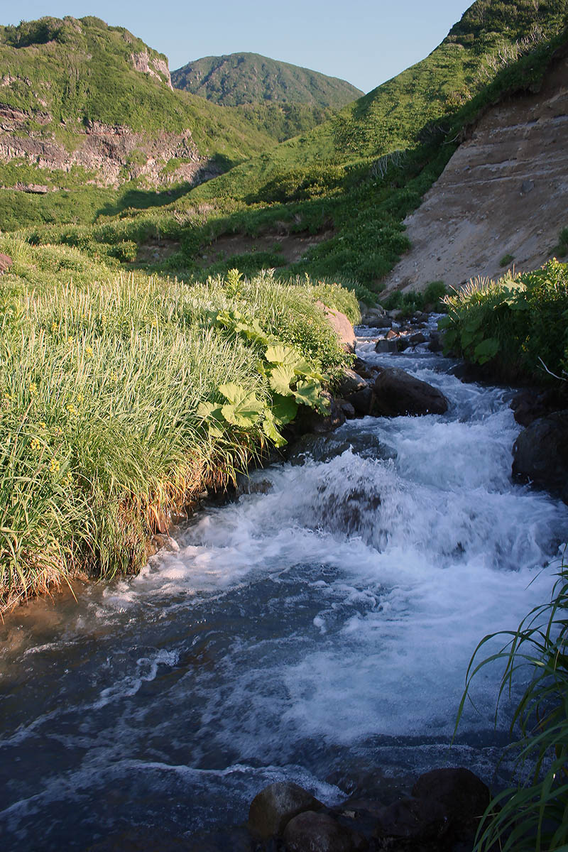 Окрестности залива Натальи, image of landscape/habitat.