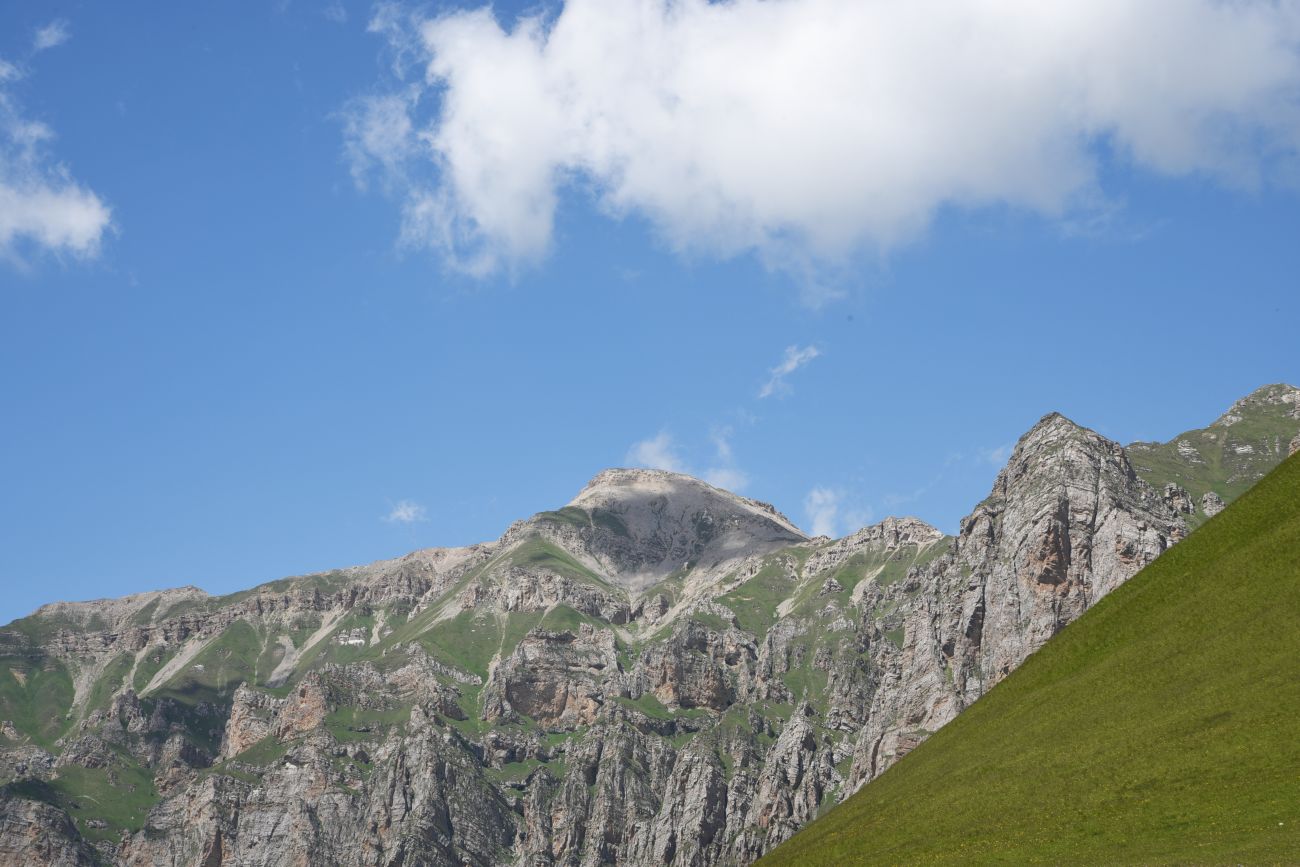 Гора Годобери, image of landscape/habitat.