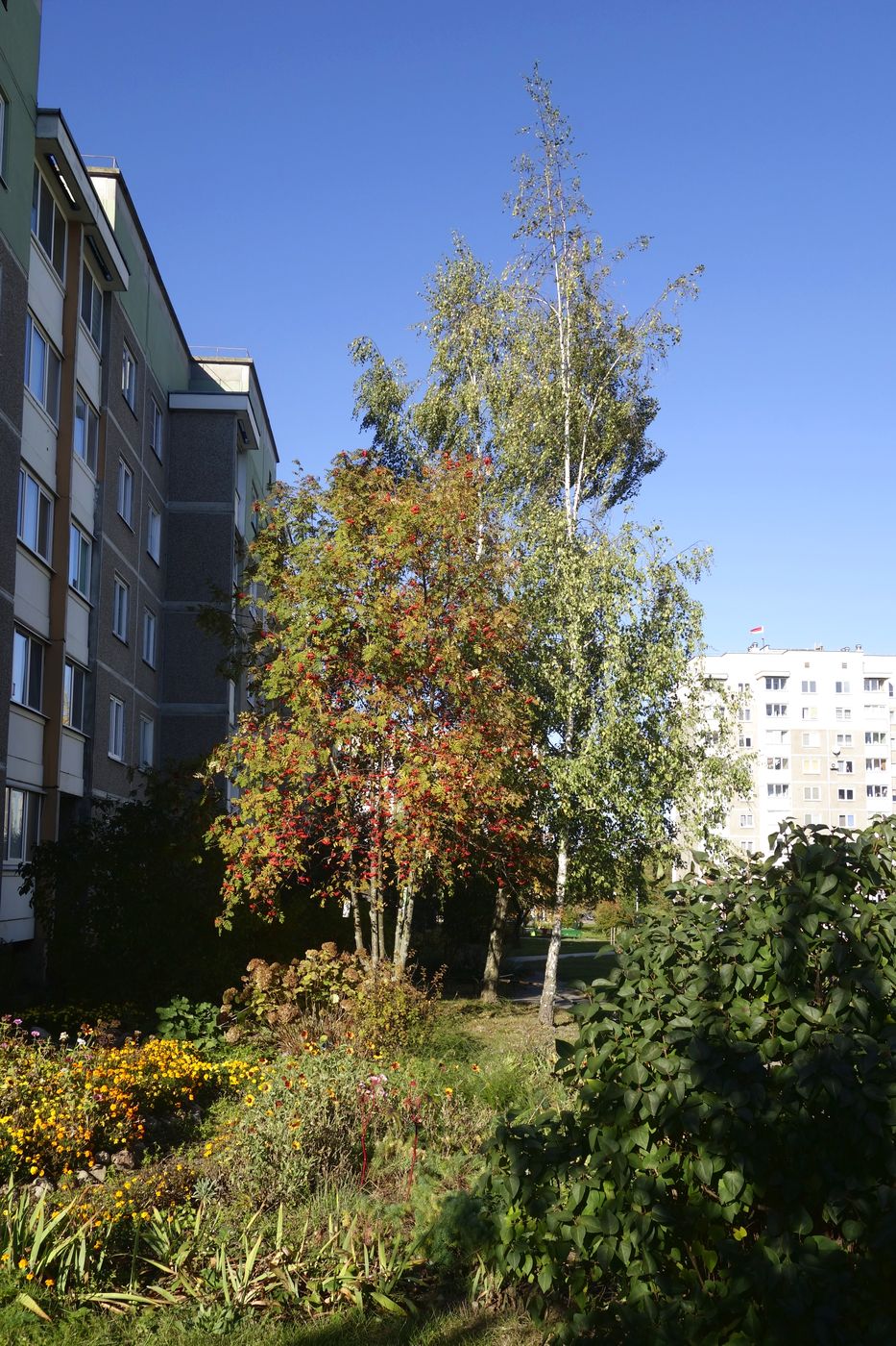 Девятовка, image of landscape/habitat.