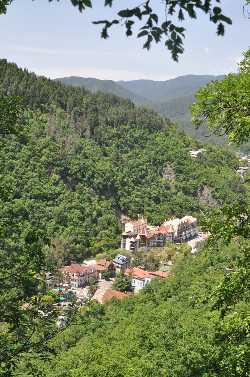 Боржоми, image of landscape/habitat.