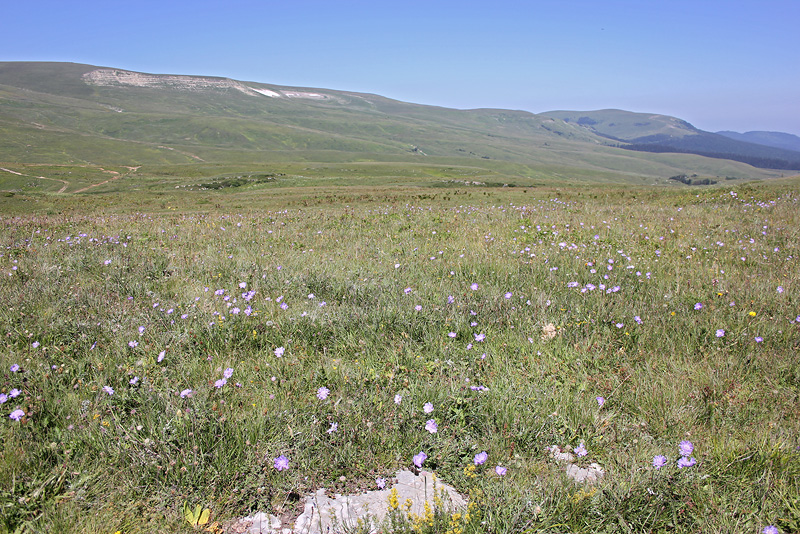 Плато Лаго-Наки, изображение ландшафта.