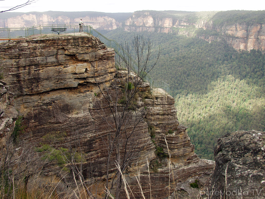 Голубые горы, image of landscape/habitat.