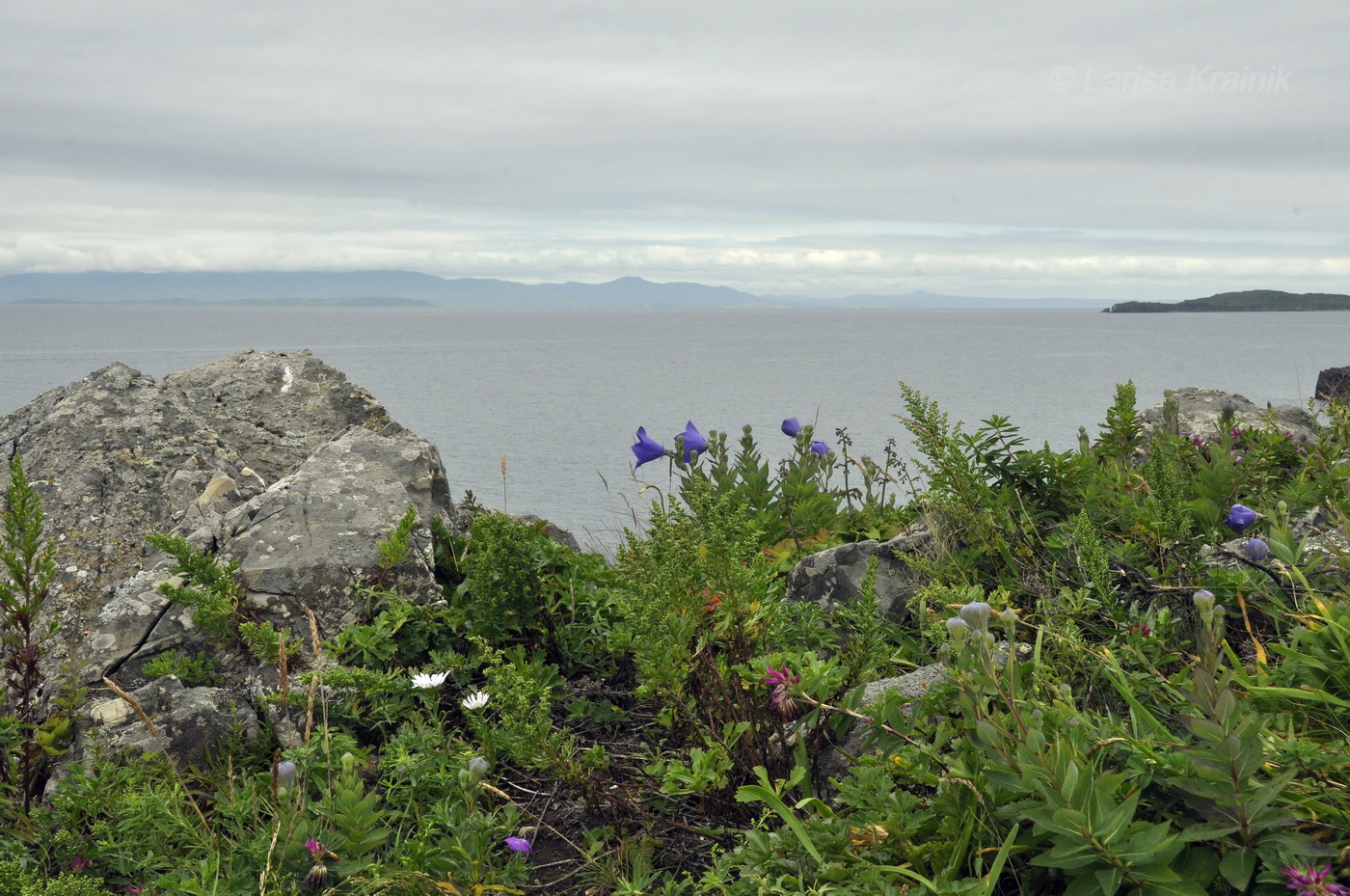 Остров Рикорда, image of landscape/habitat.