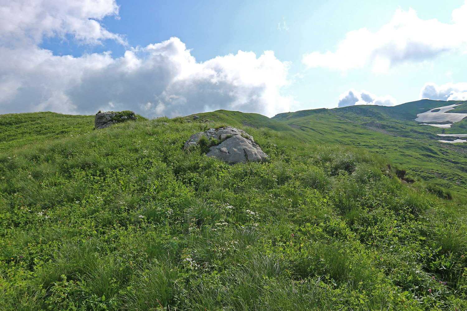 Гора Гузерипль, image of landscape/habitat.