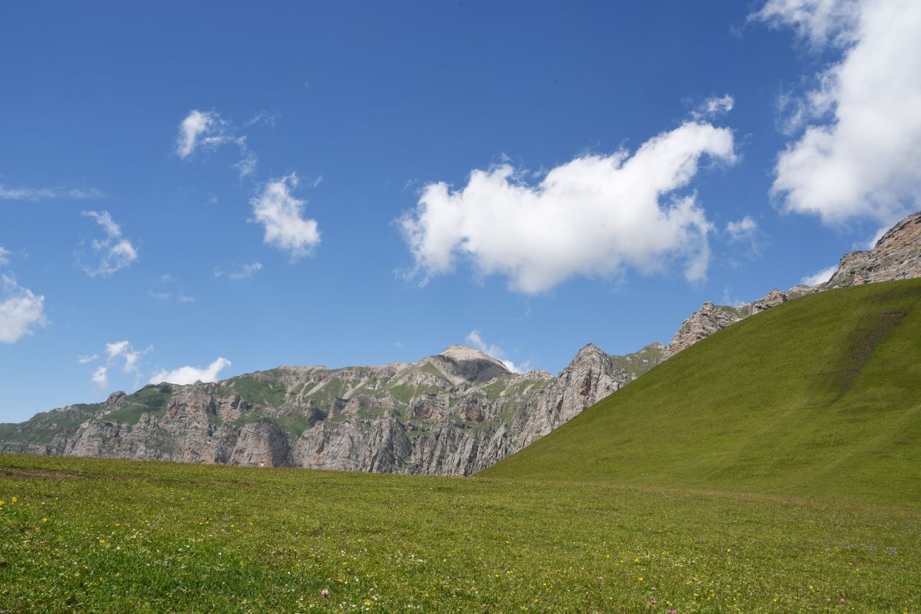 Гора Годобери, image of landscape/habitat.