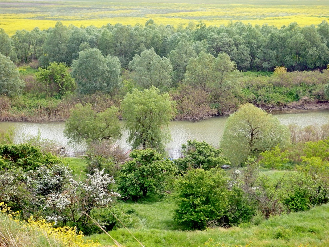 Дубовый Рынок, image of landscape/habitat.