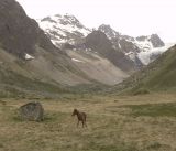 Урочище Экяра, image of landscape/habitat.