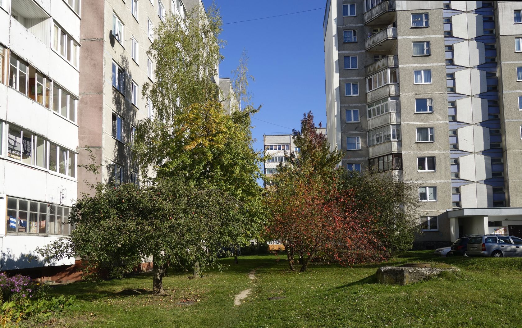 Девятовка, image of landscape/habitat.