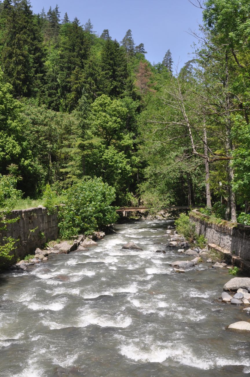 Окрестности Серных бассейнов, image of landscape/habitat.