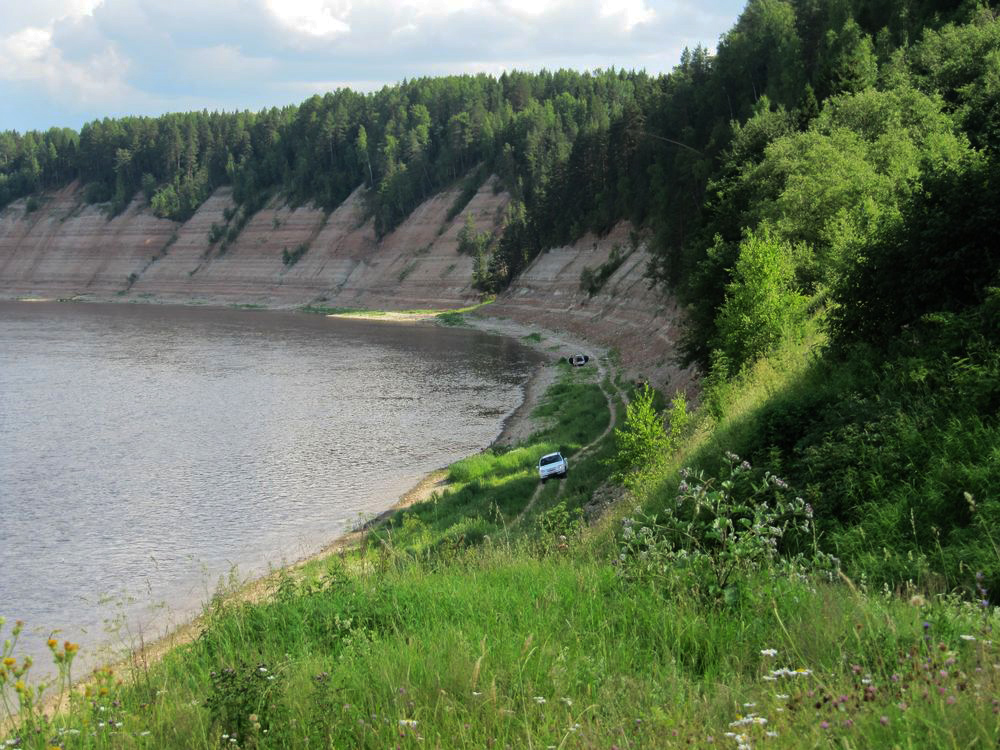 Урочище Опоки, image of landscape/habitat.