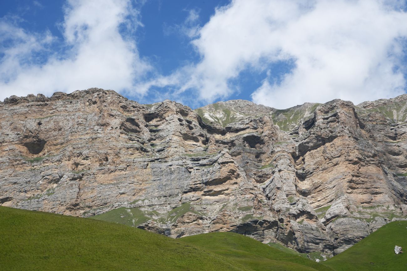 Гора Годобери, image of landscape/habitat.