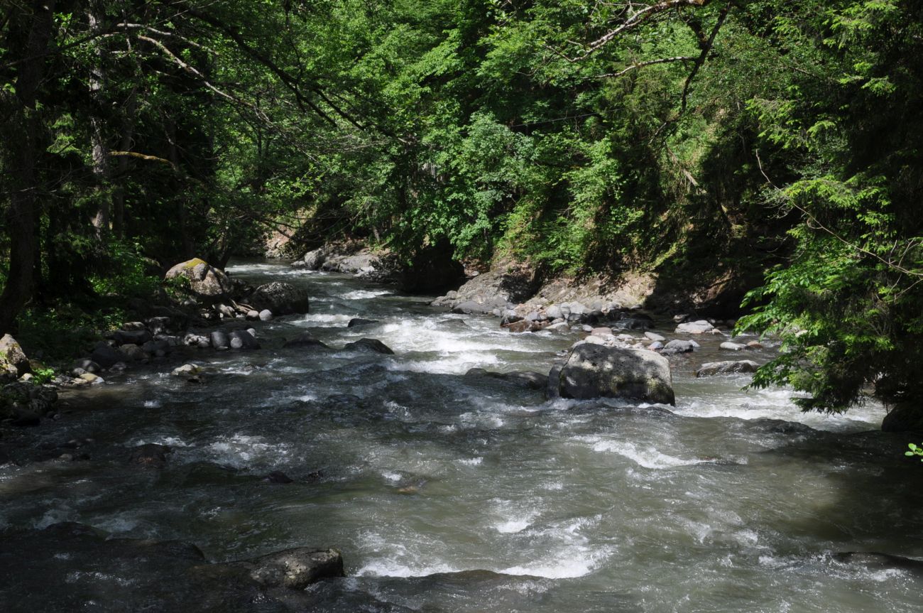 Окрестности Серных бассейнов, image of landscape/habitat.