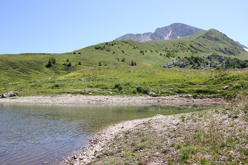 Верхняя Цица, image of landscape/habitat.