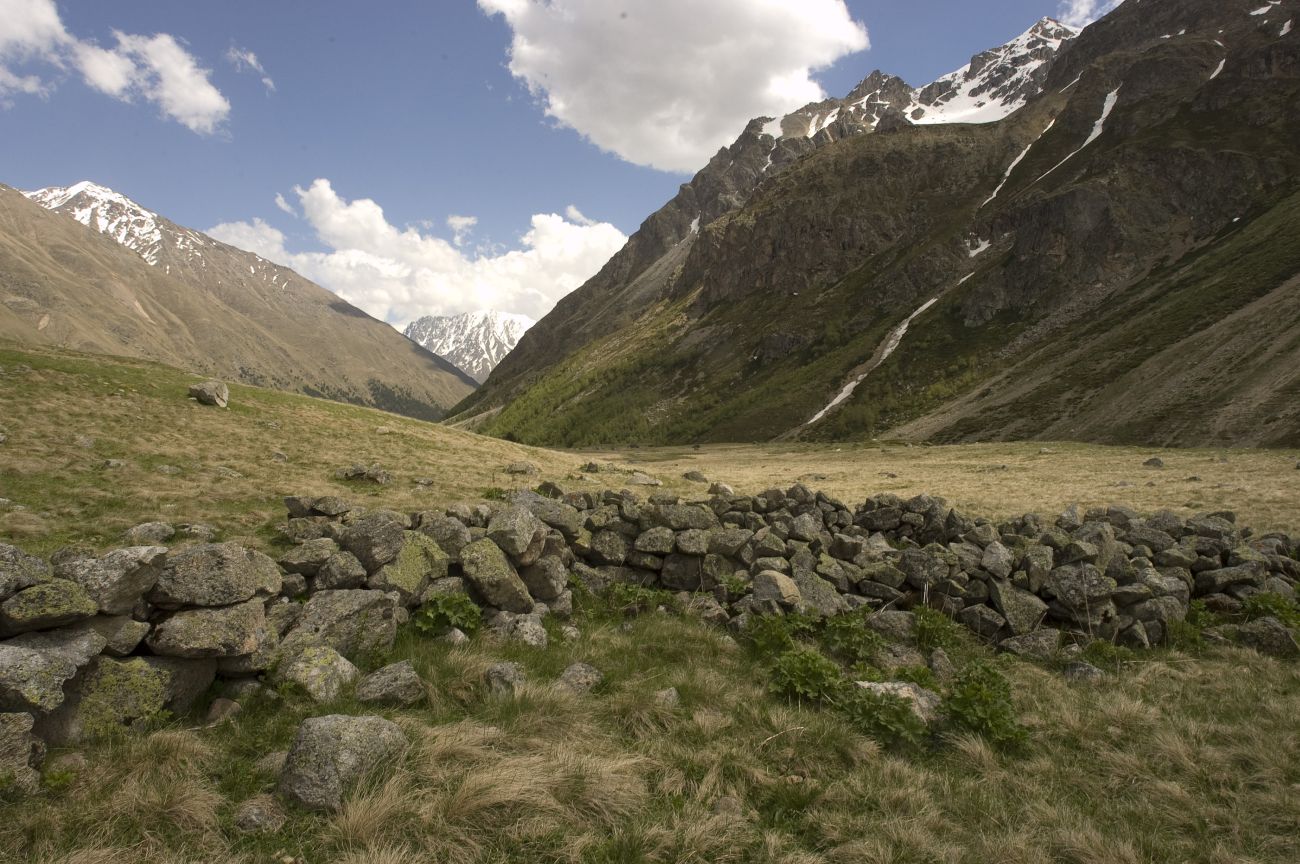 Урочище Экяра, image of landscape/habitat.