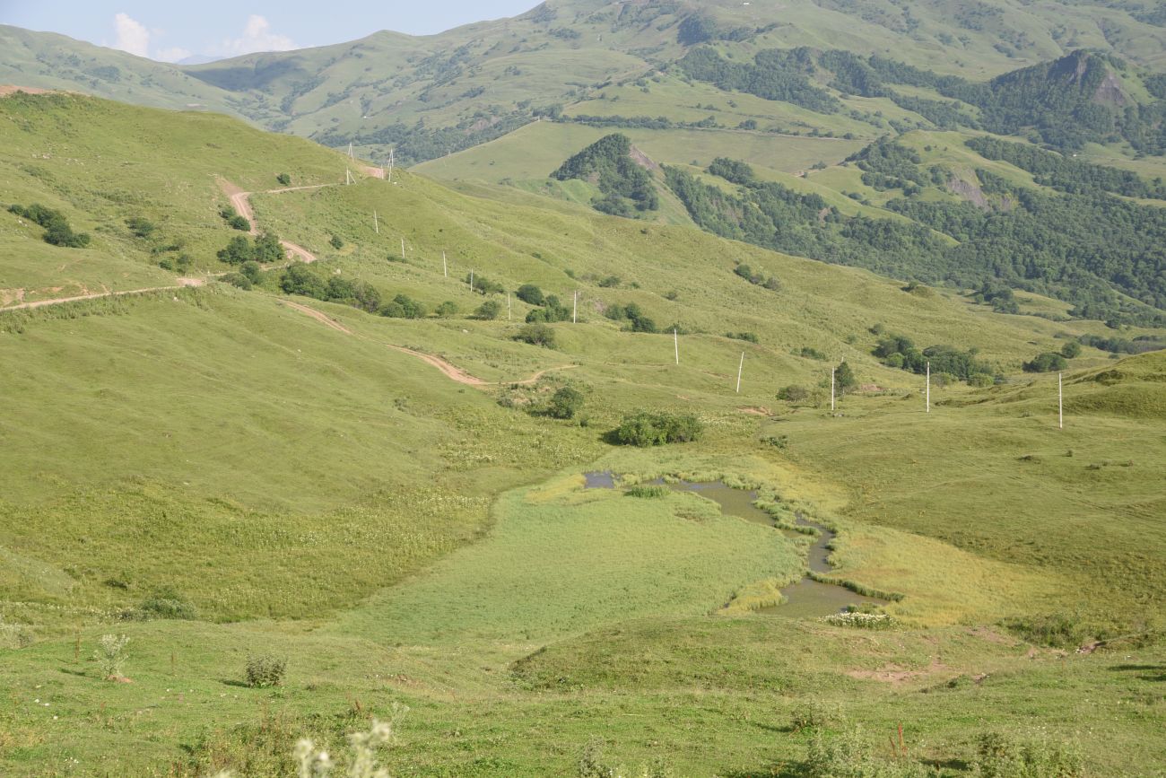 Окрестности урочища Цамадой, image of landscape/habitat.