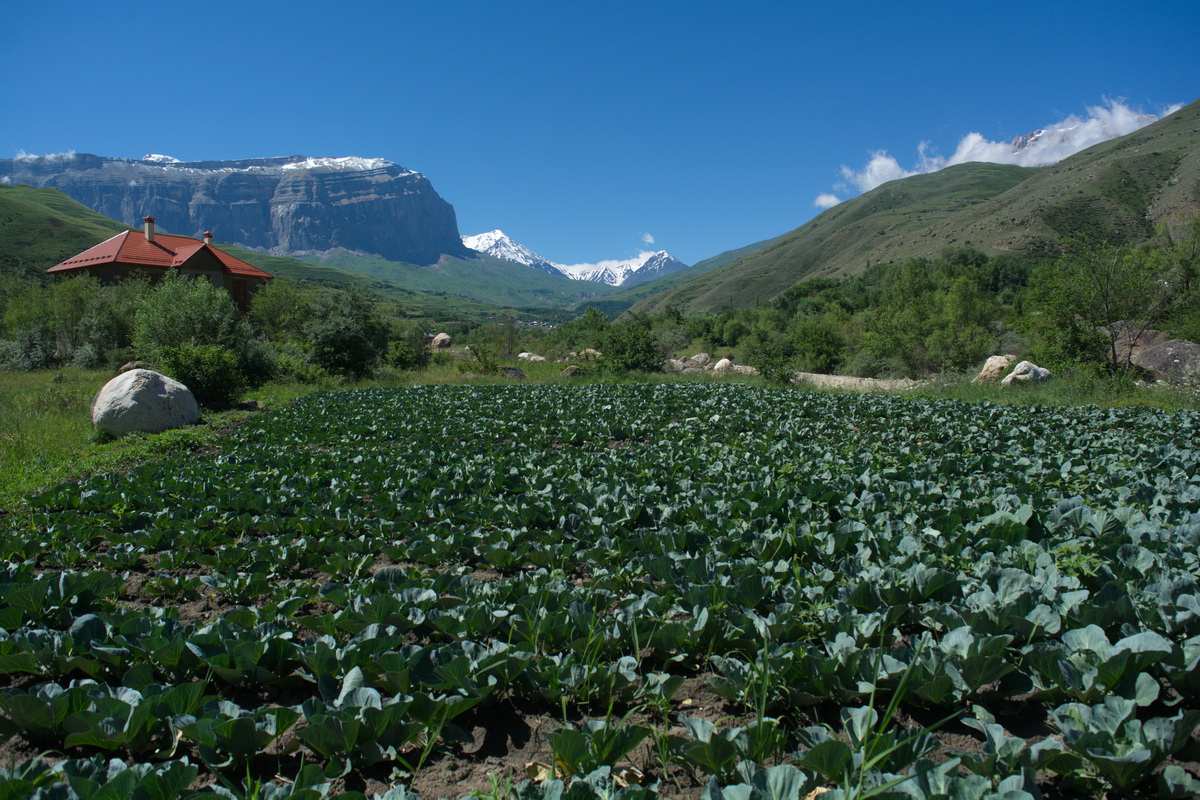 Усухчай, image of landscape/habitat.