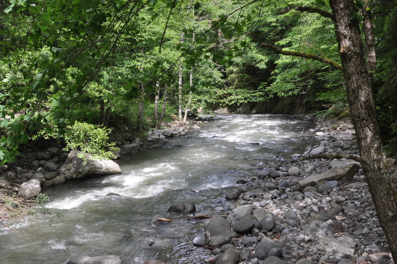 Окрестности Серных бассейнов, image of landscape/habitat.