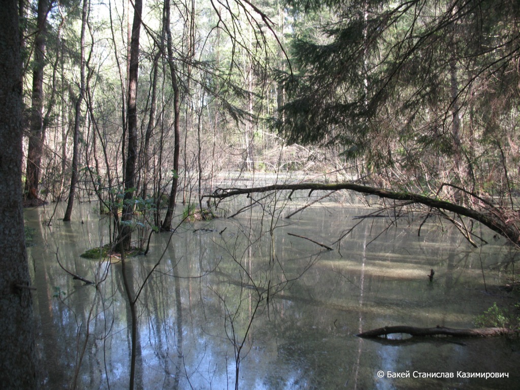 Селец, image of landscape/habitat.