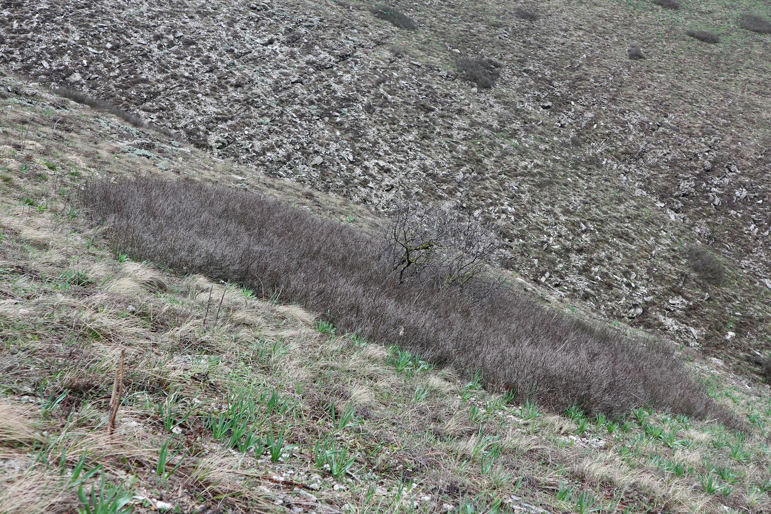 Истоки Мефодиевского ручья, изображение ландшафта.
