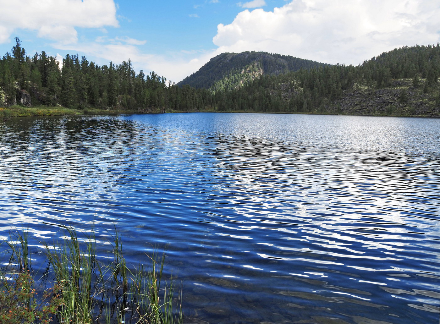 Чёрное озеро, image of landscape/habitat.