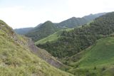 Старый дом Мухтара, image of landscape/habitat.