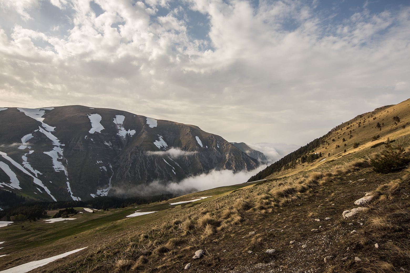 Лагонаки, image of landscape/habitat.