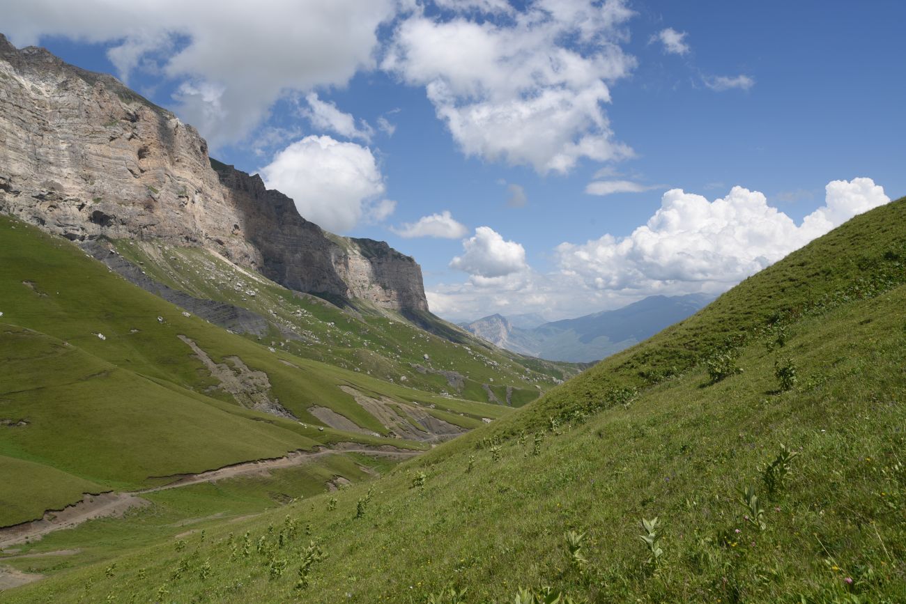 Цумандинский перевал, image of landscape/habitat.