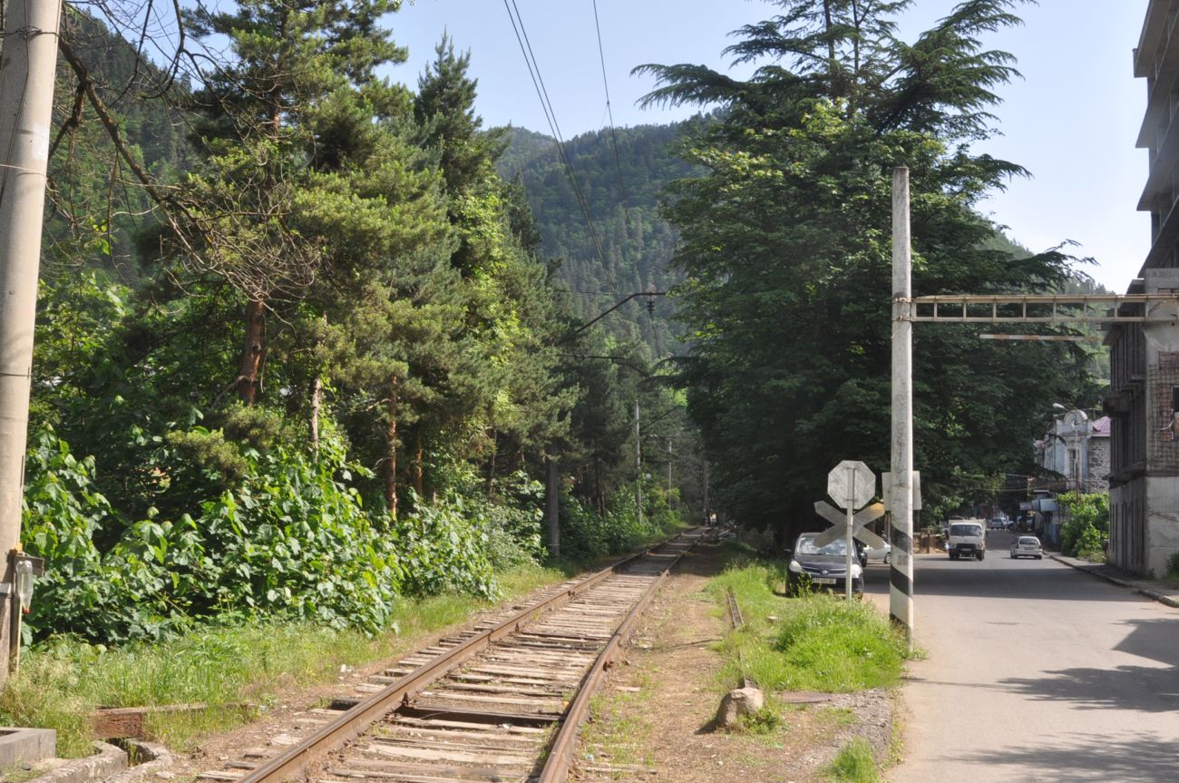 Боржоми, image of landscape/habitat.