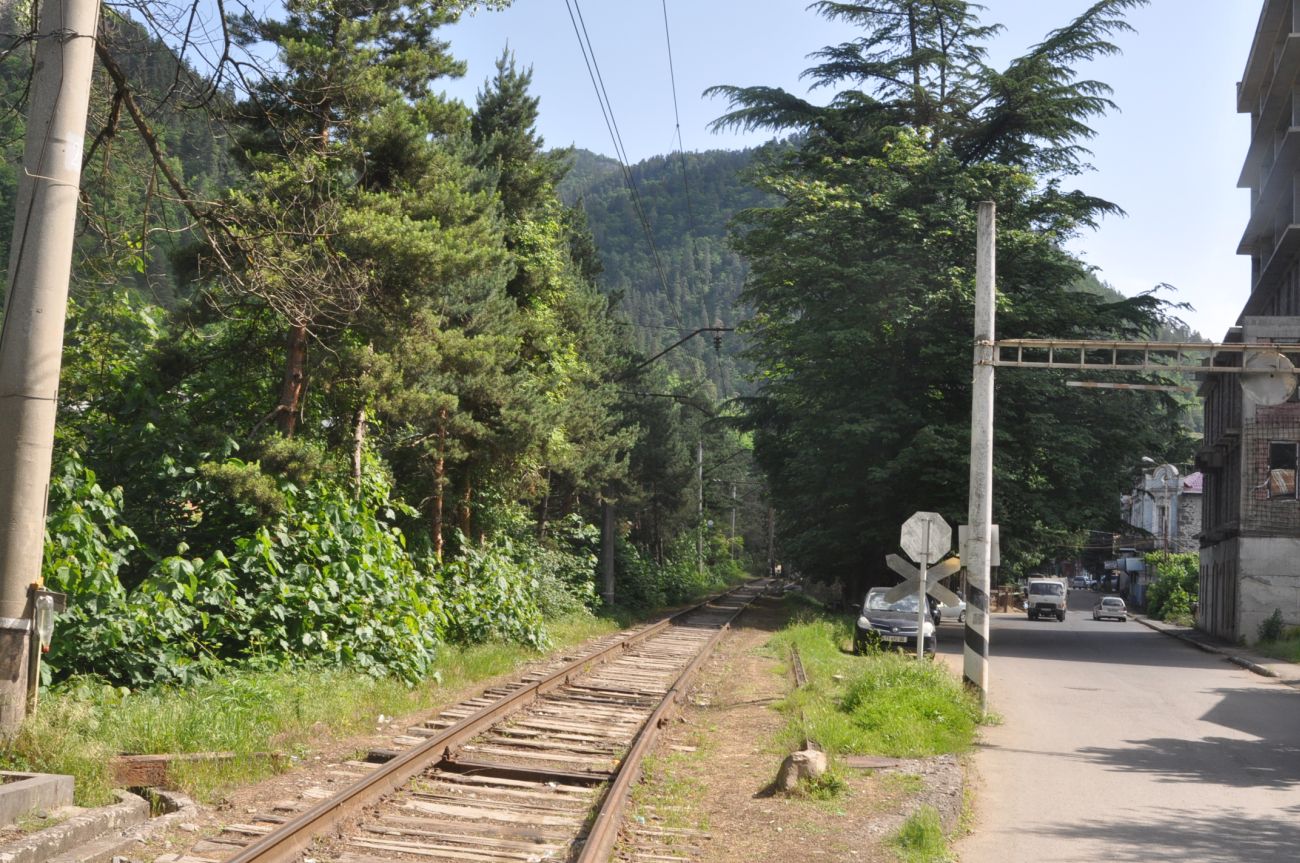 Боржоми, image of landscape/habitat.