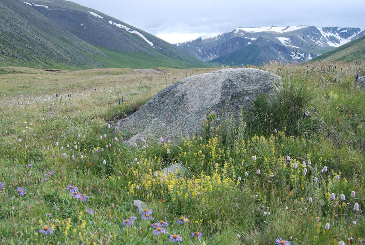 Джумалинские ключи, image of landscape/habitat.