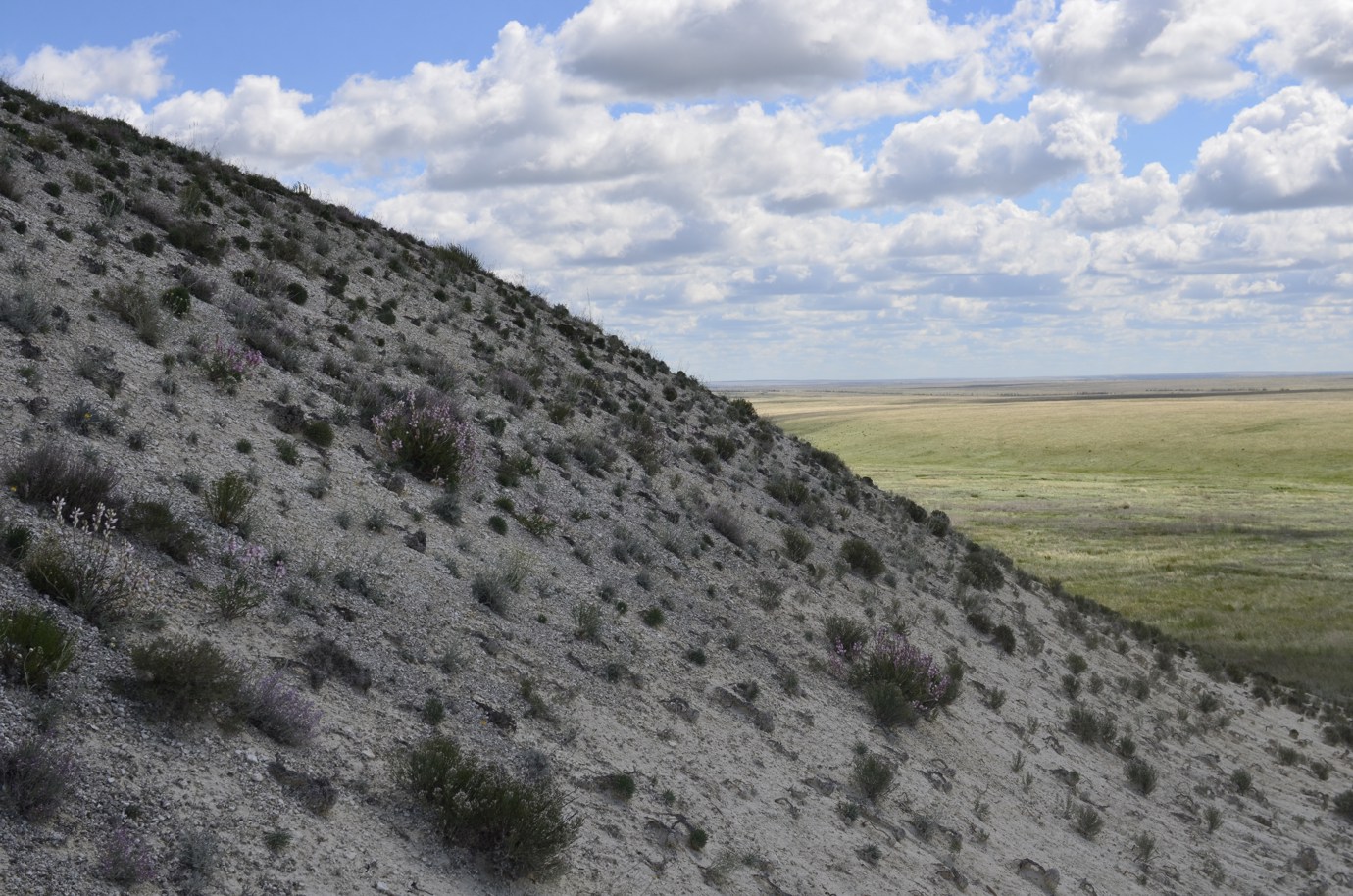 Троицкие меловые горы, image of landscape/habitat.