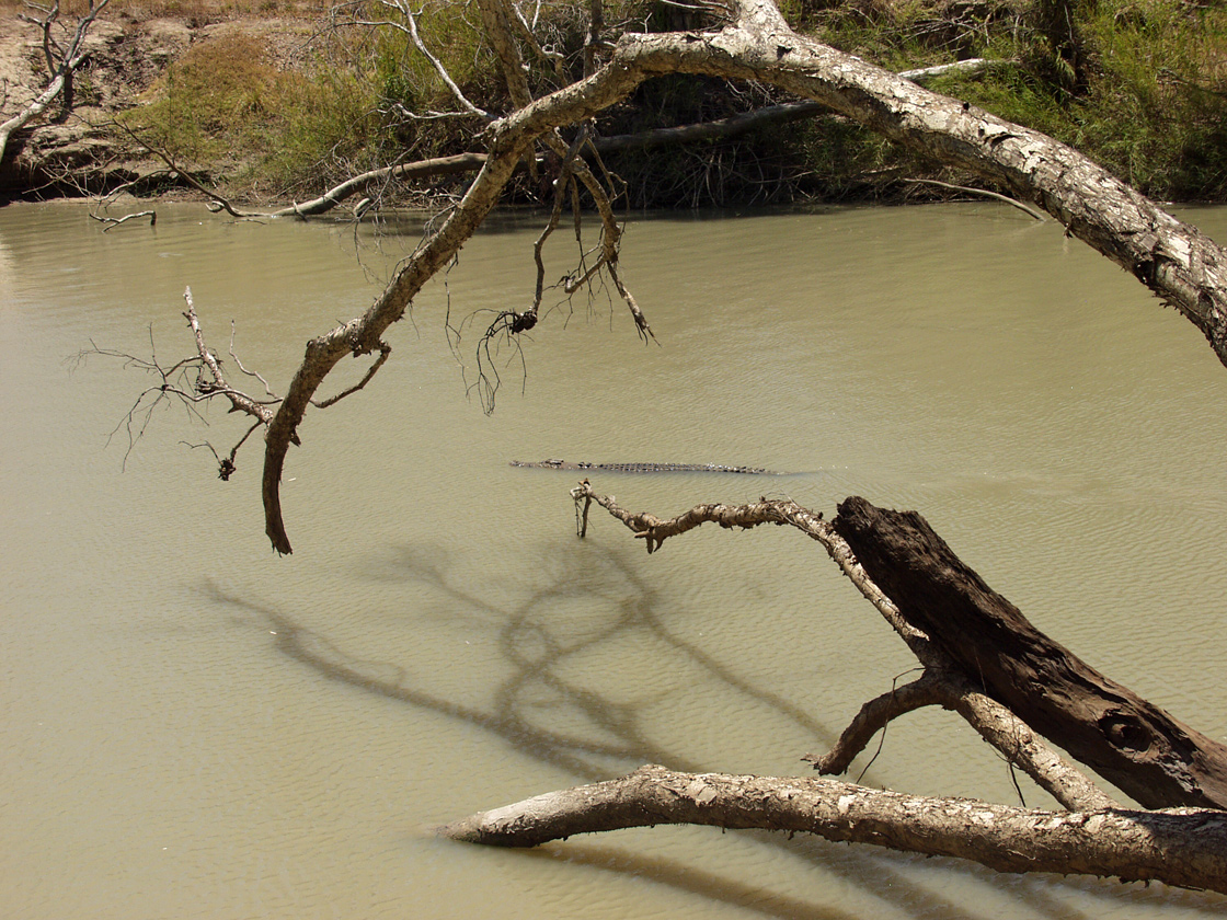 Kakadu, image of landscape/habitat.