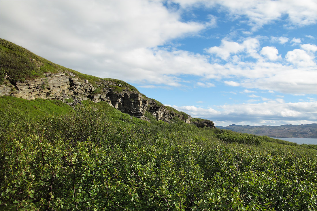 Малая Волоковая губа, image of landscape/habitat.