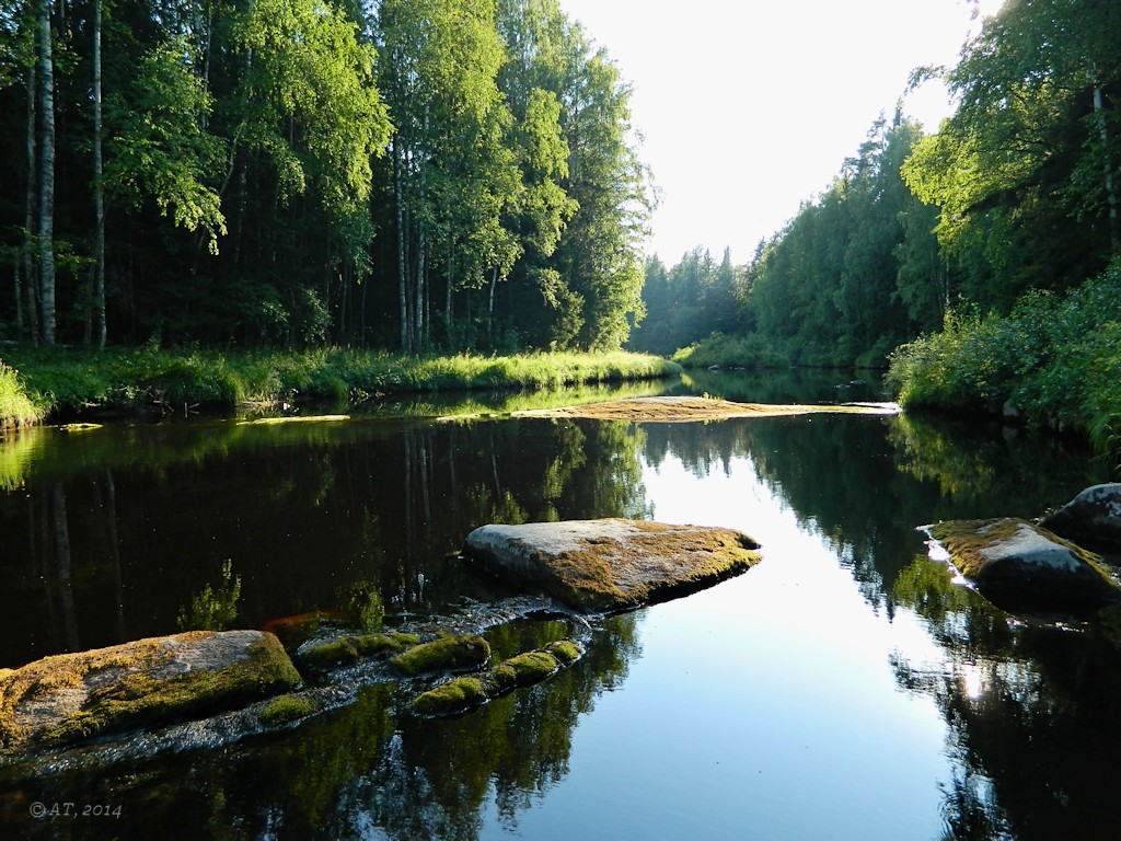 Низовья Унежмы, image of landscape/habitat.