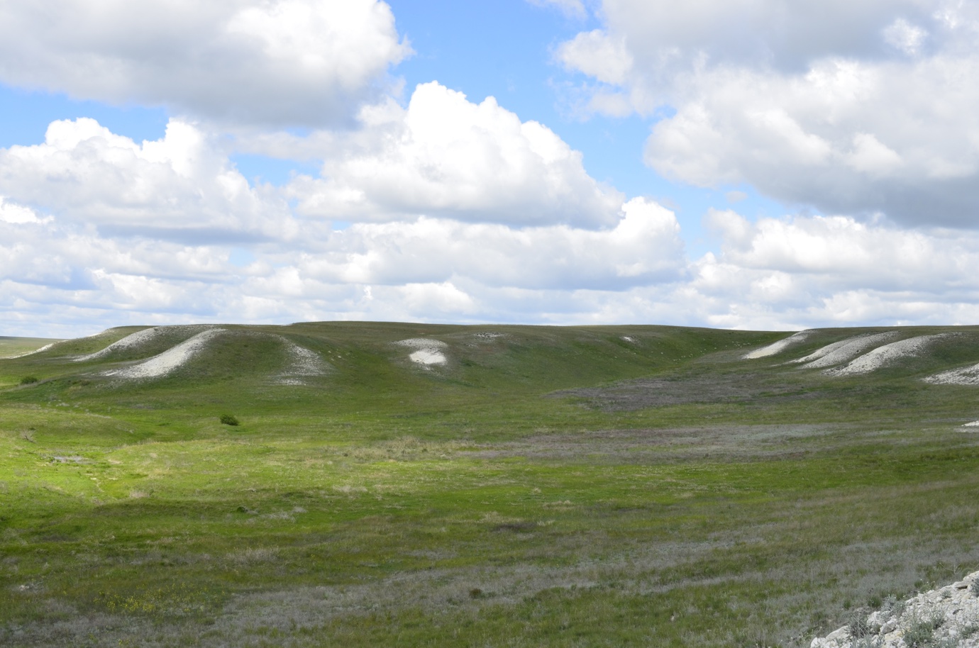 Троицкие меловые горы, image of landscape/habitat.