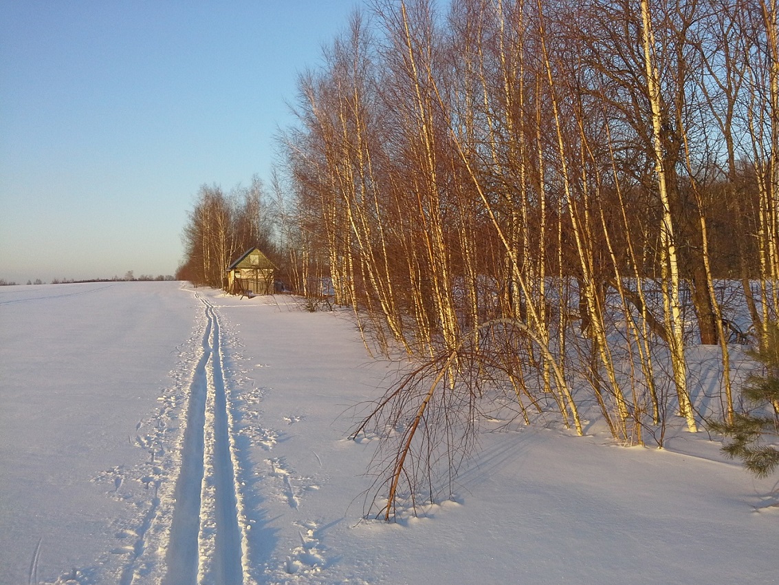 Окрестности деревни Чёлохово, image of landscape/habitat.