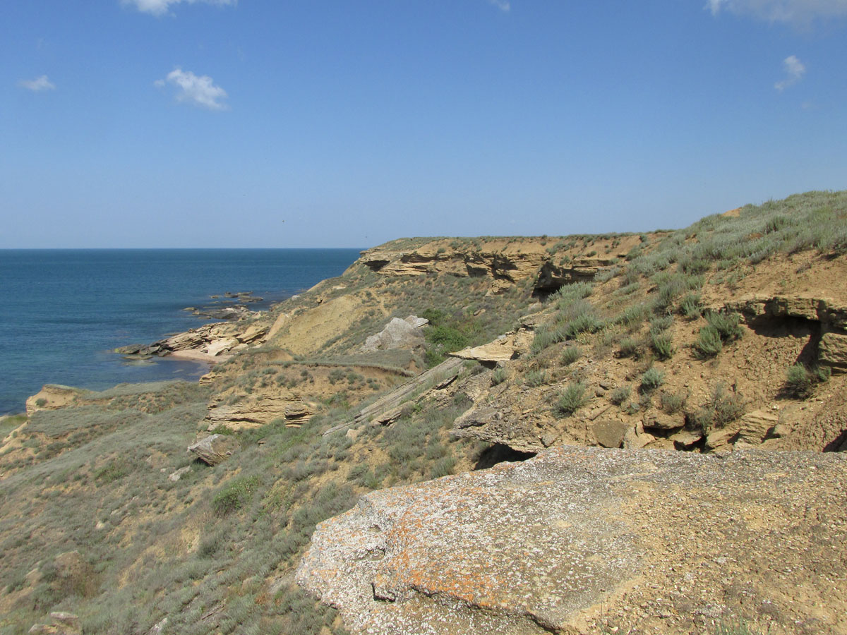 Мыс Чауда, image of landscape/habitat.