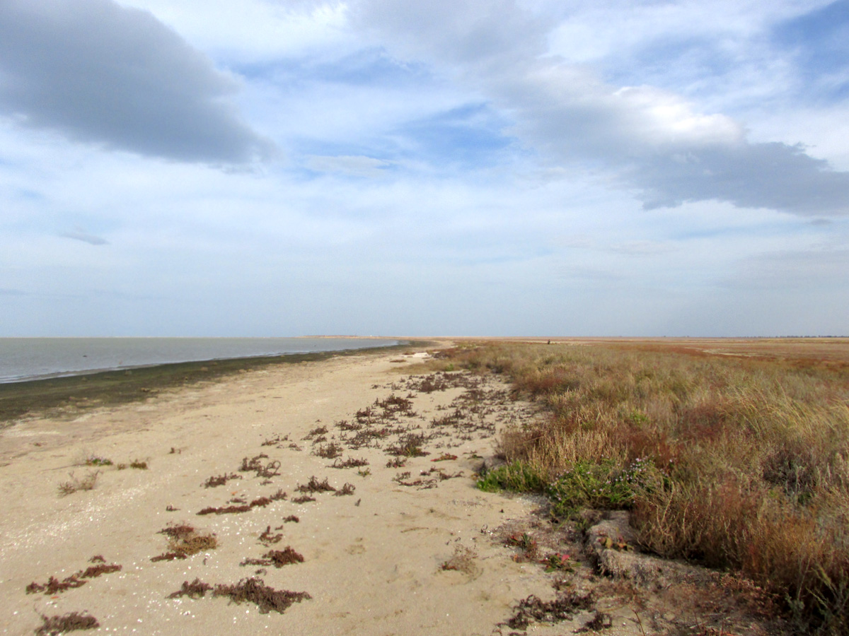 Окрестности Львово, image of landscape/habitat.