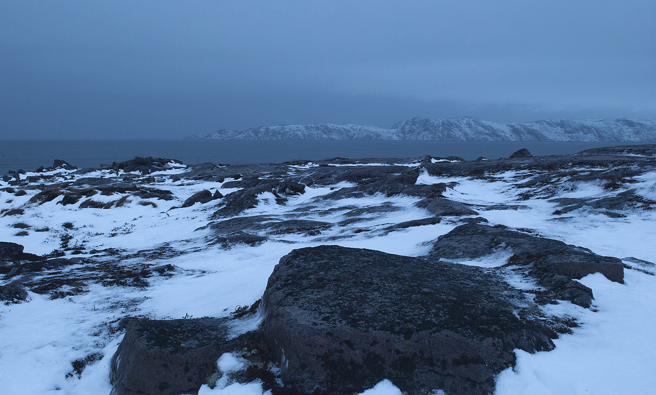 Териберка, image of landscape/habitat.