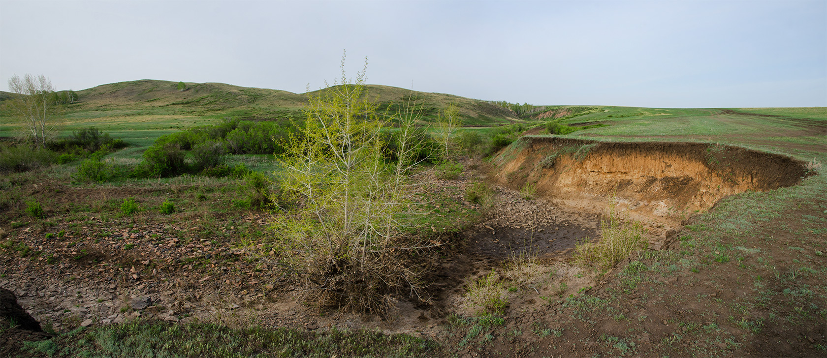 Каменка, image of landscape/habitat.