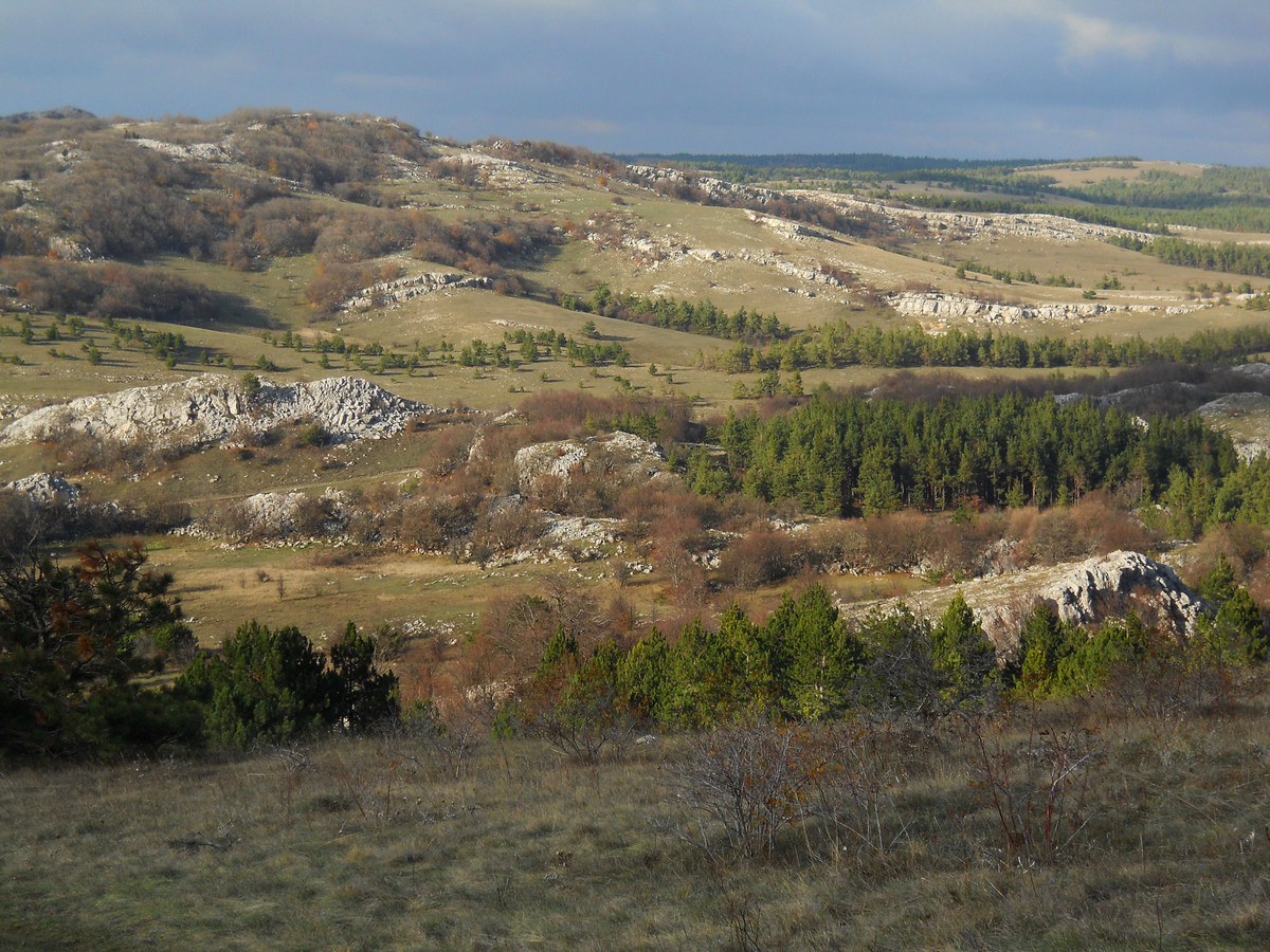 Ай-Петринская яйла, image of landscape/habitat.