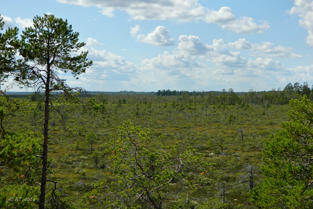 Кушерека, image of landscape/habitat.