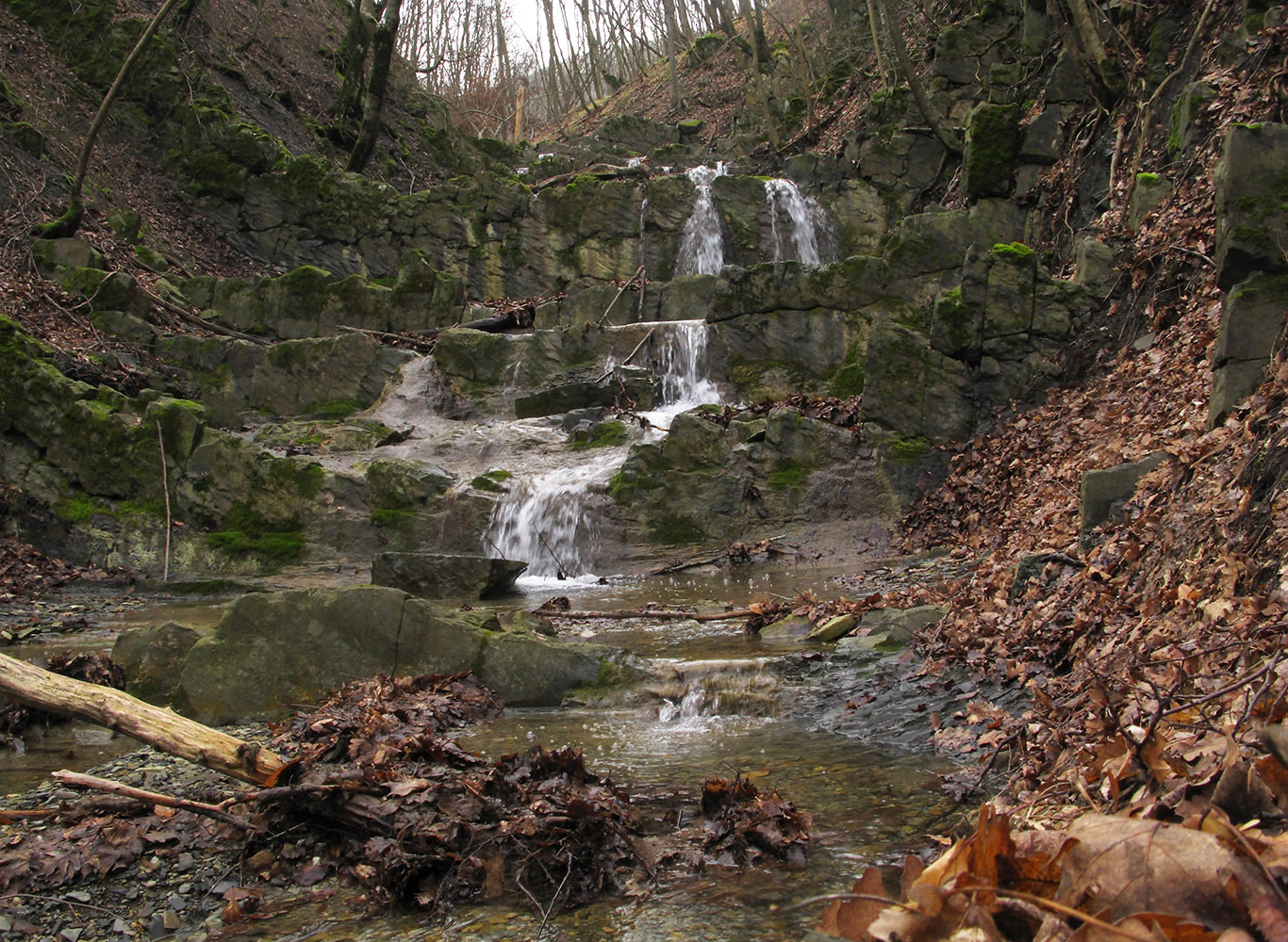 Каскадный ручей, image of landscape/habitat.