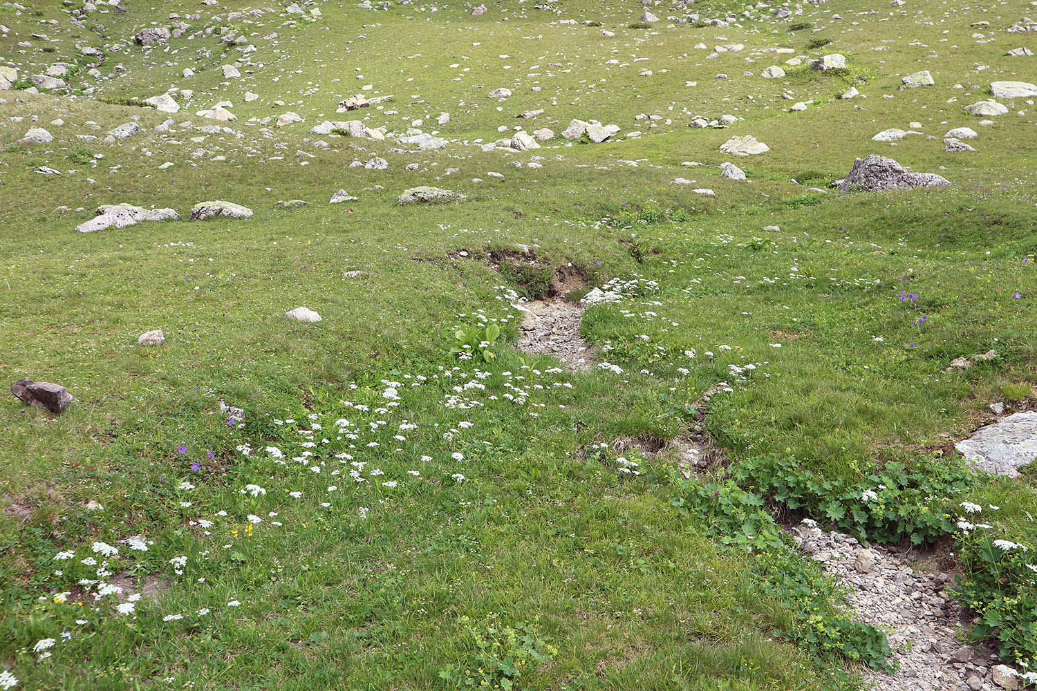 Гора Загедан Скала, image of landscape/habitat.