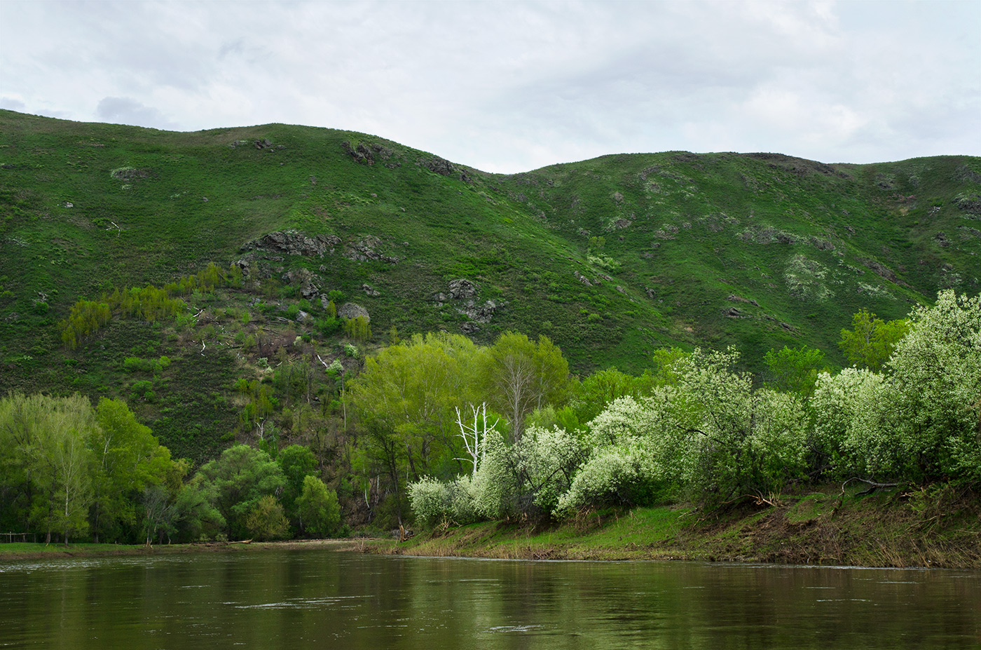 Большеарслангулово, image of landscape/habitat.