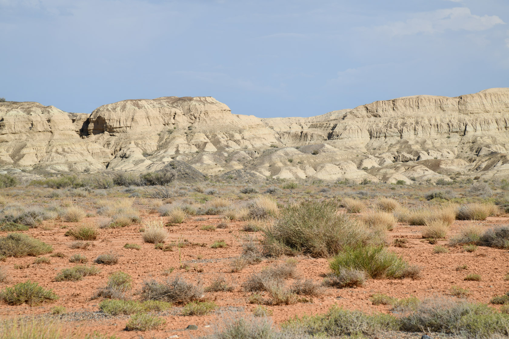 Горы Улькен-Богуты, image of landscape/habitat.